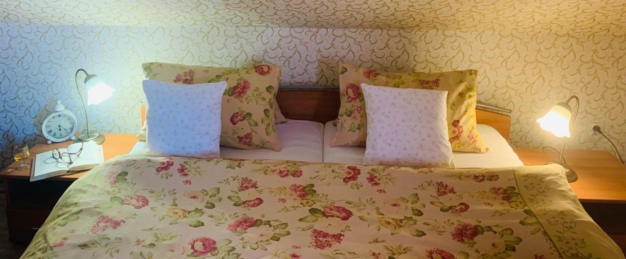 Hotel Penzion Tramky Vikýřovice エクステリア 写真