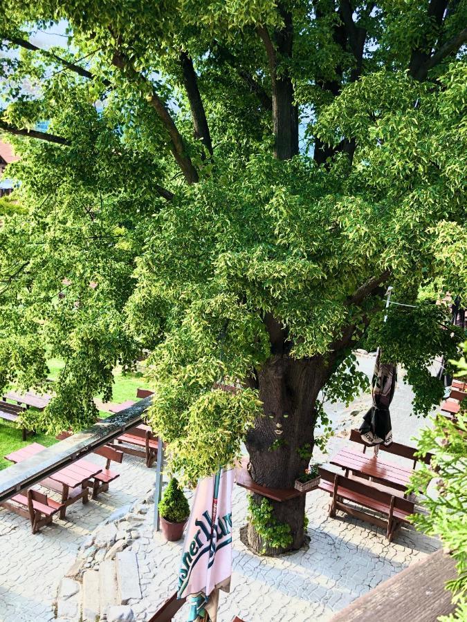 Hotel Penzion Tramky Vikýřovice エクステリア 写真