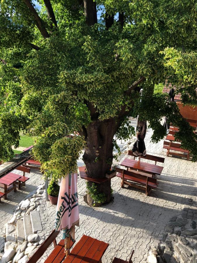 Hotel Penzion Tramky Vikýřovice エクステリア 写真